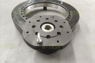 Special design for slewing drive input end according to user requirements